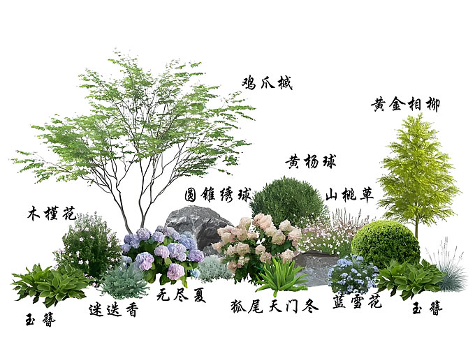 植物配置设计