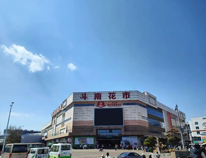 花卉种植基地